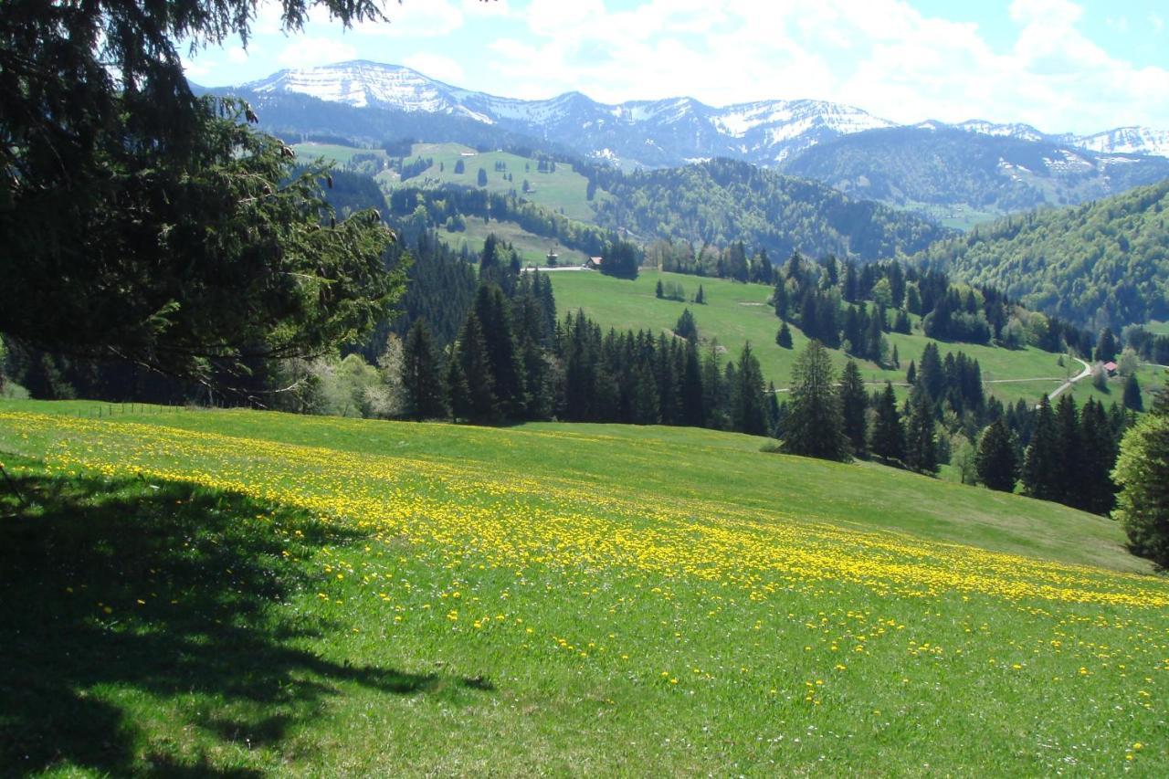 Hotel Allgaeuer Hof Oberstaufen Luaran gambar