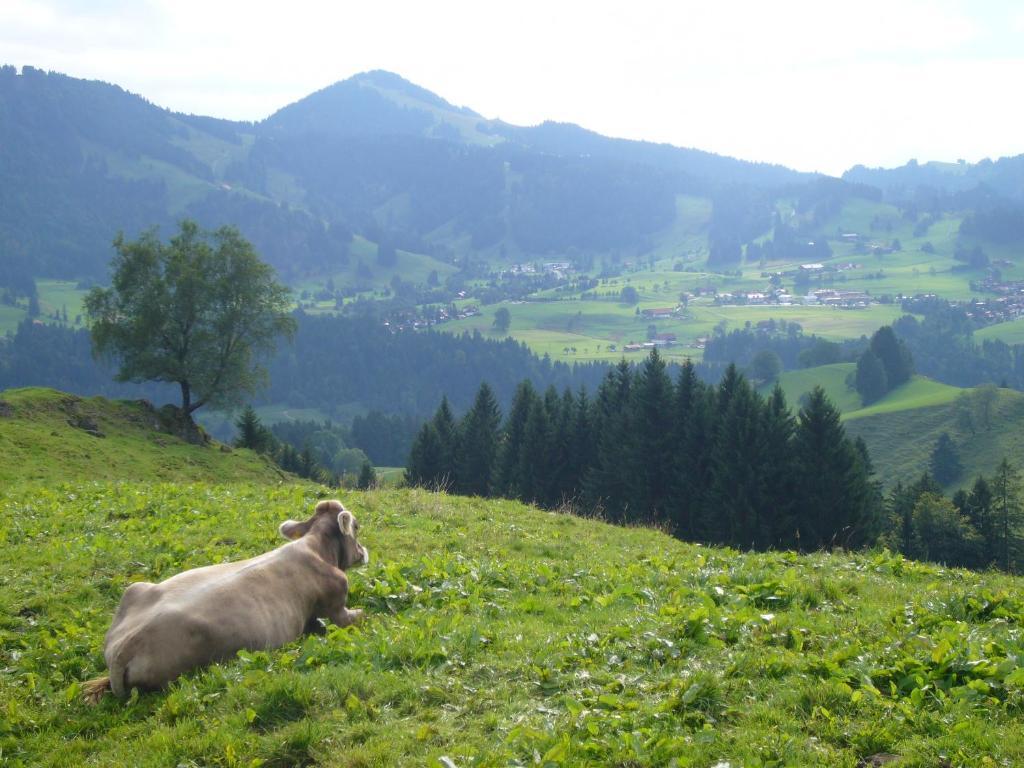 Hotel Allgaeuer Hof Oberstaufen Luaran gambar