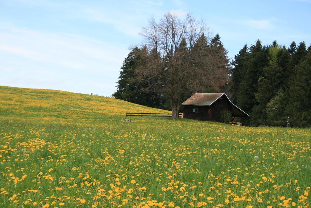 Hotel Allgaeuer Hof Oberstaufen Luaran gambar